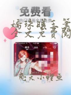 娇珠映玉笔趣阁全文免费阅读晋江