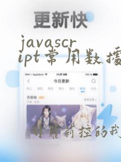 javascript常用数据类型
