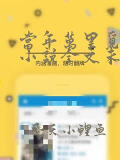 当年万里觅封侯小说全文未删减免费阅读