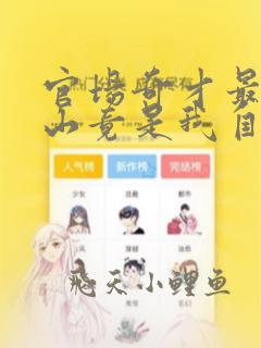 官场奇才最强靠山竟是我自己李澜小说大结