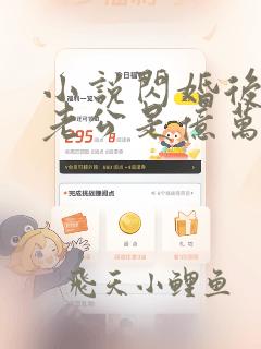 小说闪婚后发现老公是亿万富豪全文阅读