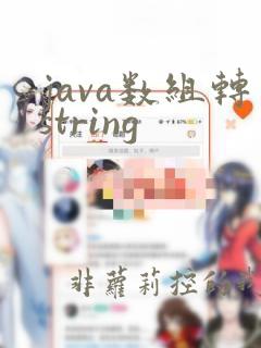 java数组转string