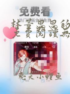 林董思思的小说免费阅读无弹窗