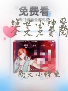 绝世小神医张灿全文免费阅读