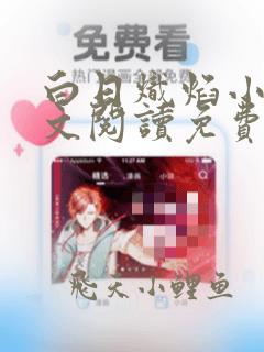 白日炽焰小说全文阅读免费无弹窗