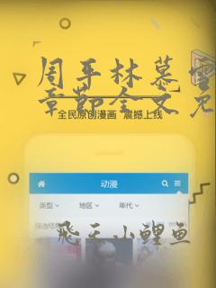 周平林慕雪最新章节全文免费阅读红颜政道
