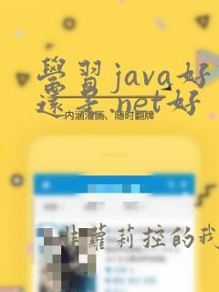 学习java好还是.net好