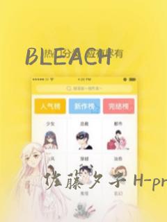 BLEACH：结局+番外
