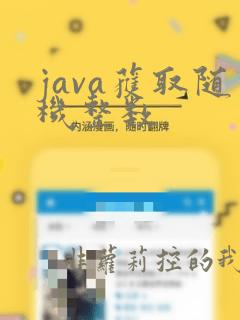 java获取随机整数