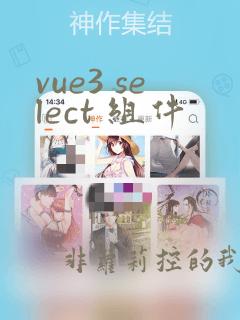 vue3 select 组件