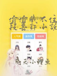 偷偷藏不住桑稚段嘉许小说全集小说