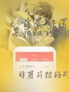 c  前景好还是java前景好
