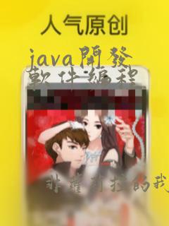 java开发 软件编程