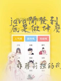 java开发到底是做什么