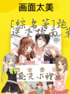 [综名著]炮灰逆袭指南 叶缓归