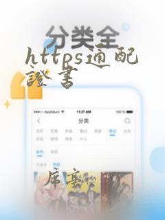 https通配证书