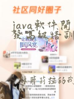 java软件开发高级培训