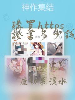 购买https证书多少钱