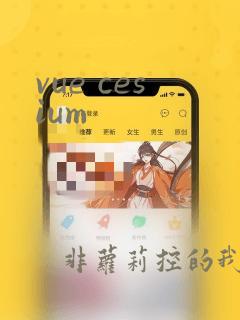 vue cesium