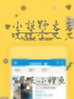 小说野火主角林晚晚全文免费阅读笔趣阁