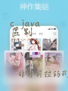 c  java区别