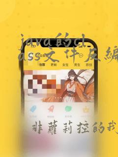 java的class文件反编译
