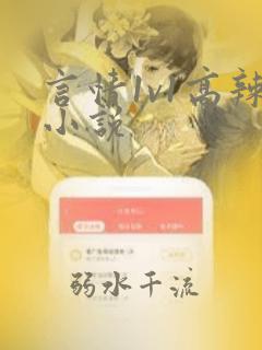 言情1v1高辣小说