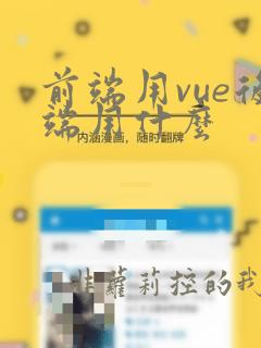 前端用vue后端用什么