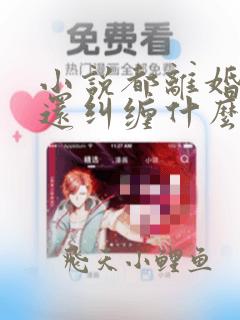 小说都离婚了你还纠缠什么容辞在线阅读