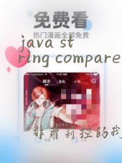 java string compareto