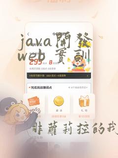 java开发 web 实训