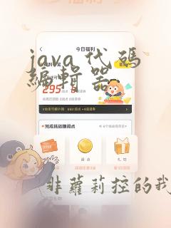java 代码编辑器