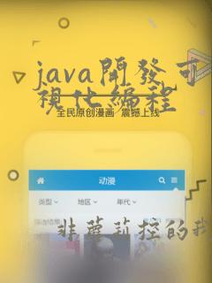 java开发可视化编程