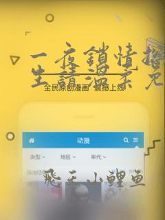一夜锁情总裁先生请温柔免费阅读全文