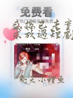 盛总已老实夫人求放过短剧全集免费观看
