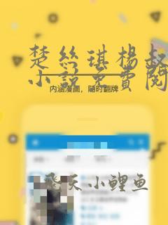 楚丝琪杨叔主角小说免费阅读全文美人似香