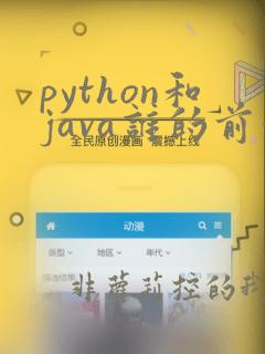 python和java谁的前景更大