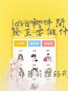 java软件开发主要做什么