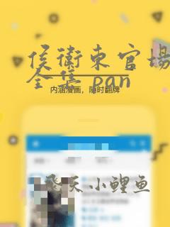 侯卫东官场笔记全集 pan