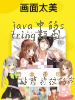 java中的string类型