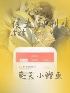 侯大利刑侦笔记.txt