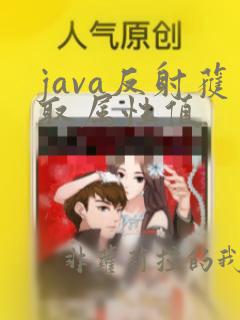 java反射获取属性值