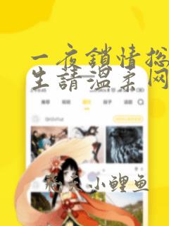 一夜锁情总裁先生请温柔网络小说