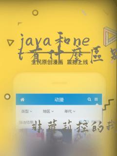 java和net有什么区别
