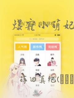 爆宠小萌妃漫画