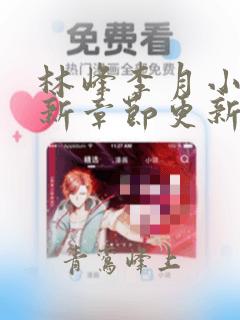 林峰李月小说最新章节更新信息免费阅读