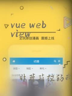 vue webview