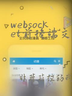 websocket前后端交互java
