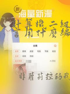 计算机二级c语言用什么编程软件