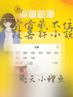 偷偷藏不住桑稚段嘉许小说免费阅读